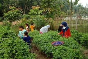 Tentang Bunga Telang dan Perempuan Sungai Berbari Itu